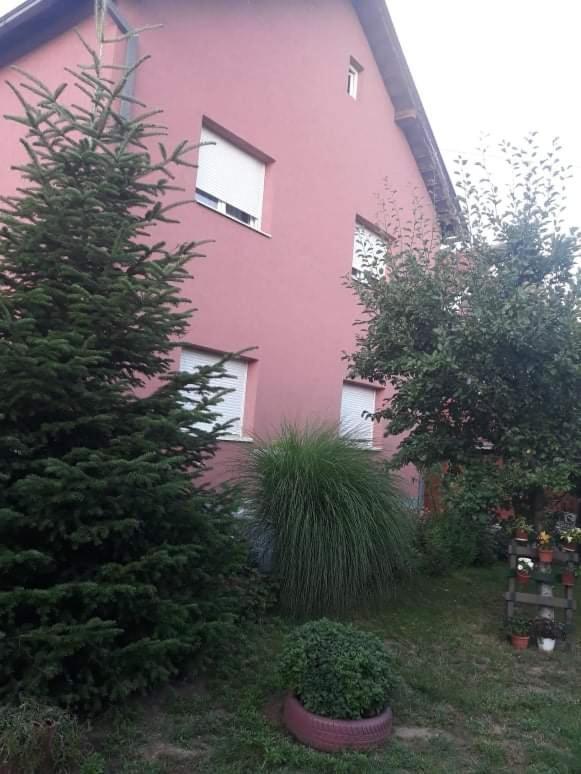 Apartman Drina Berilovac 外观 照片