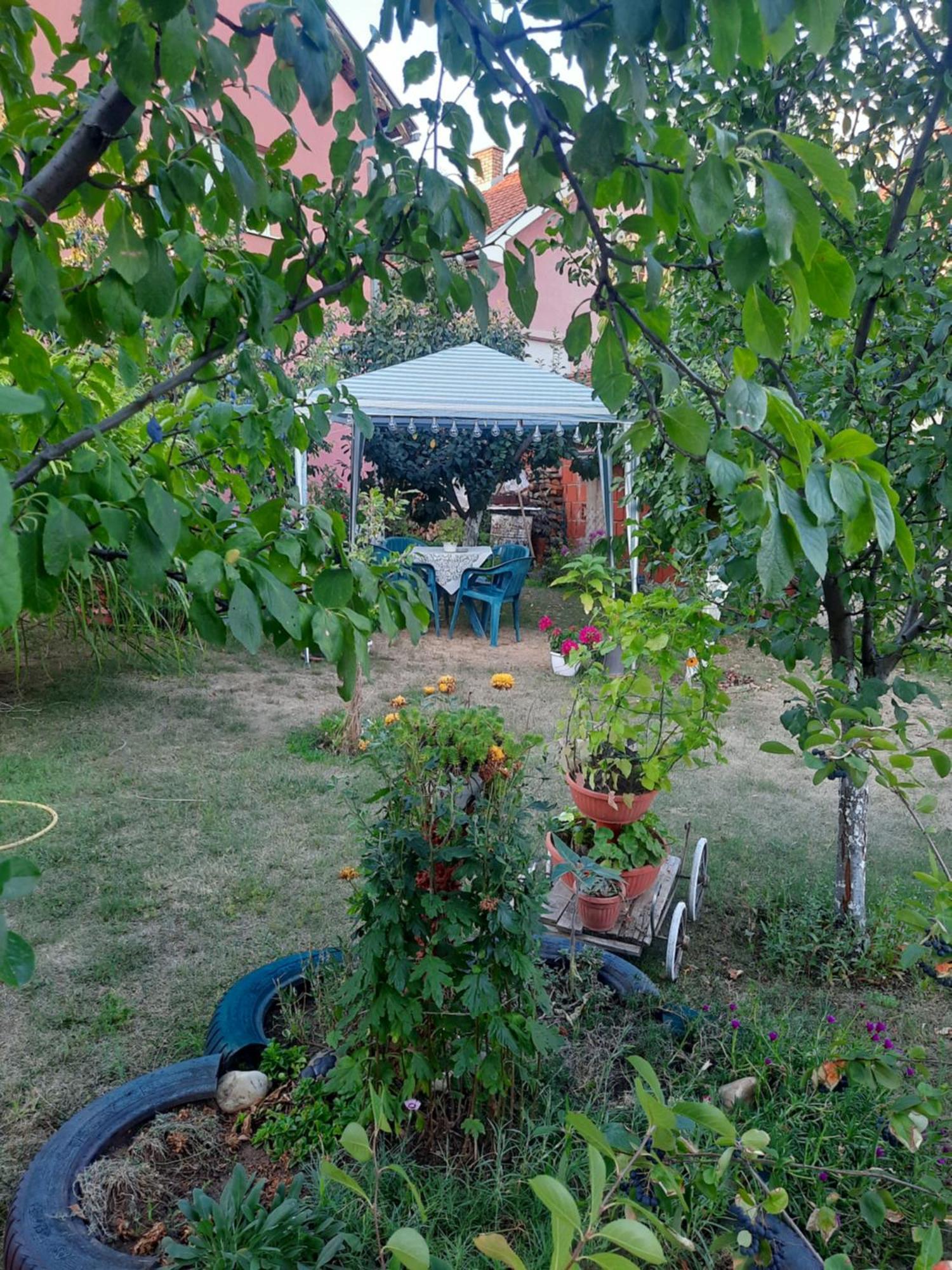Apartman Drina Berilovac 外观 照片